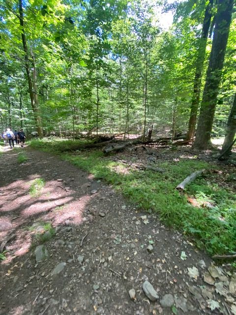 A fork in the trail