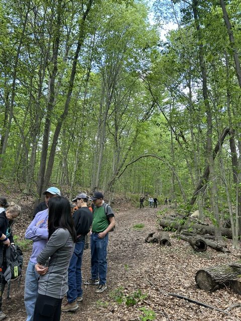 Hikers spread out along the trail